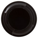 Pentair Sand Dollar SD35/SD40 Filter Lateral - Back
