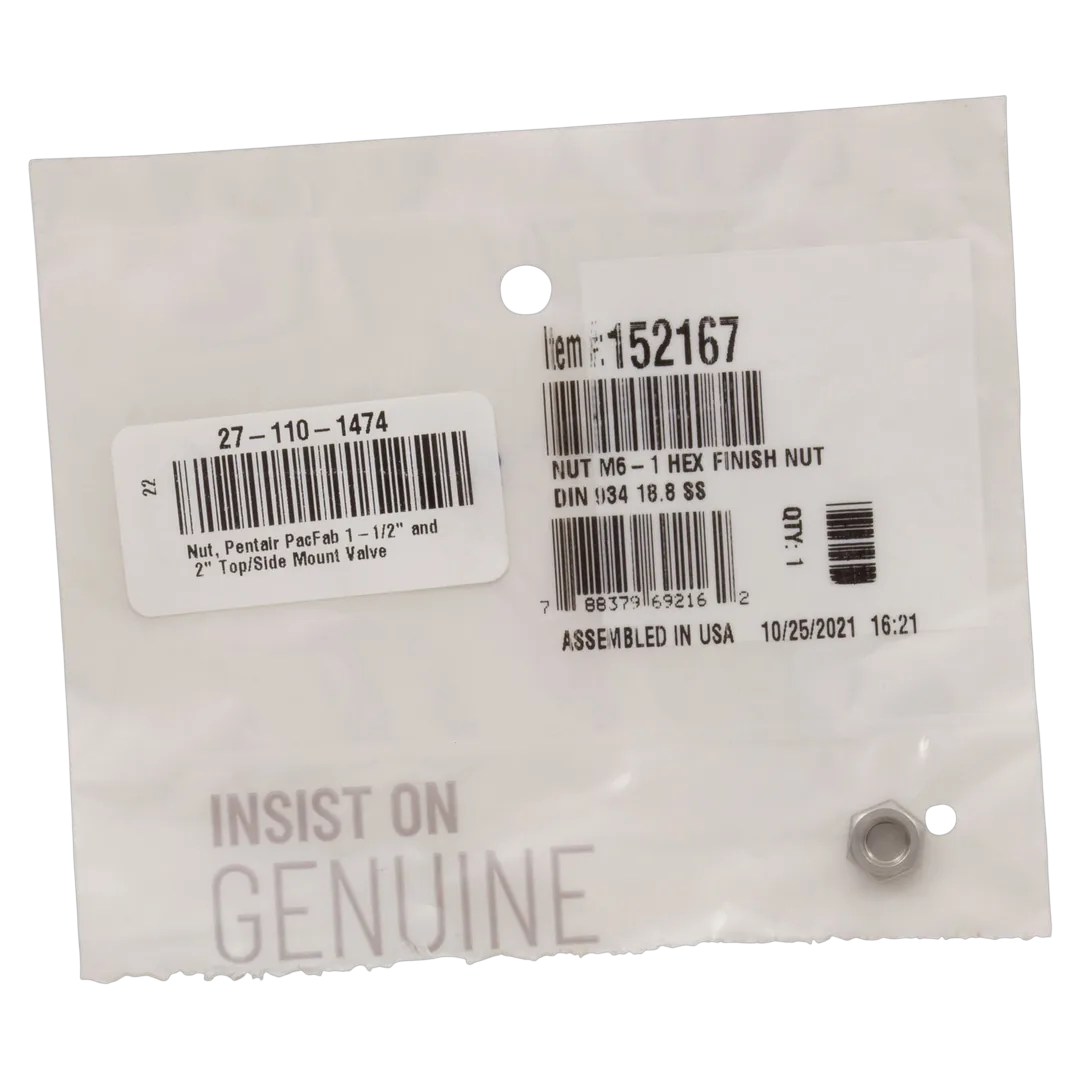 Pentair 152167 Stainless Steel M6x1 Hex Nut - Package