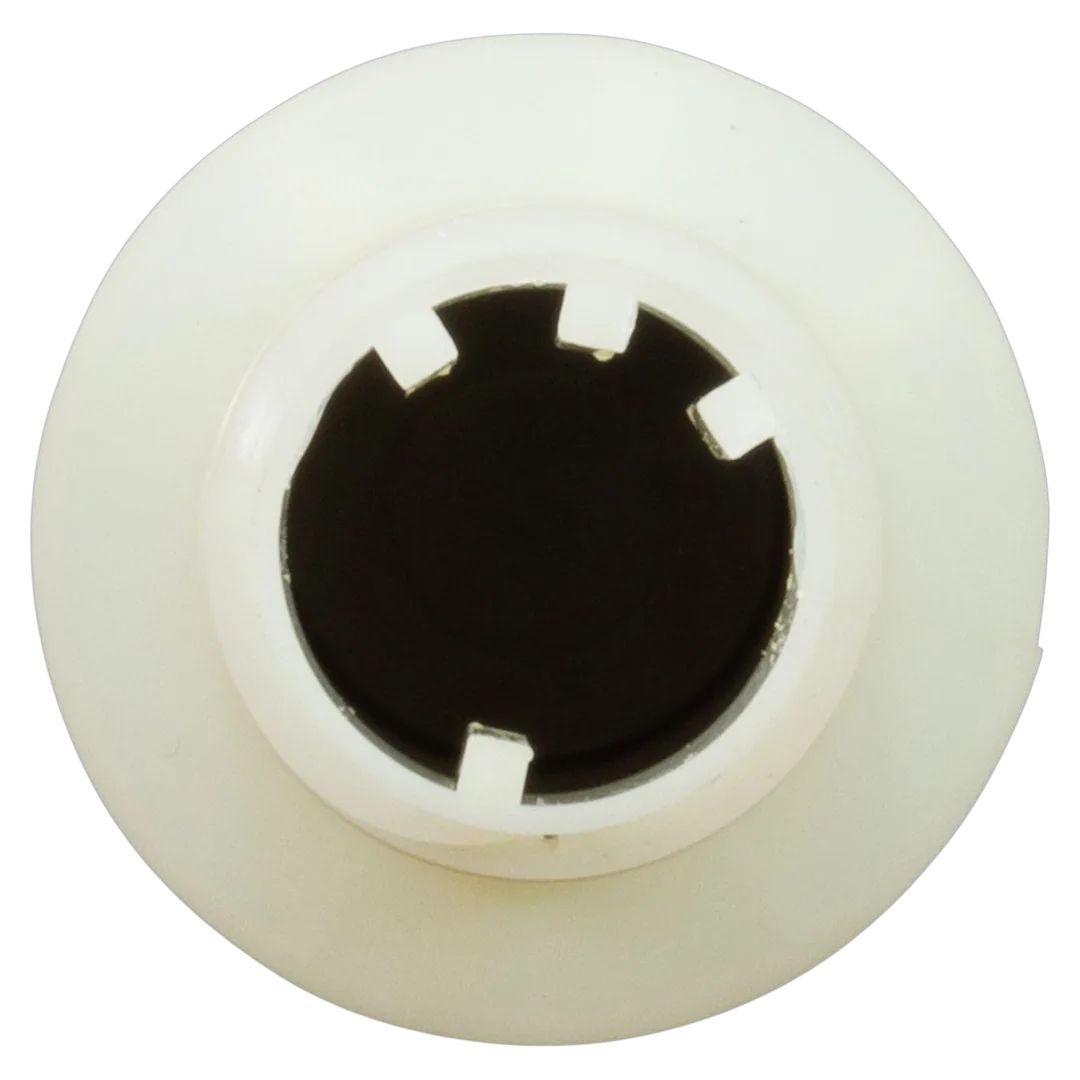 Pentair 152290Z Sand Filter Lateral - Back