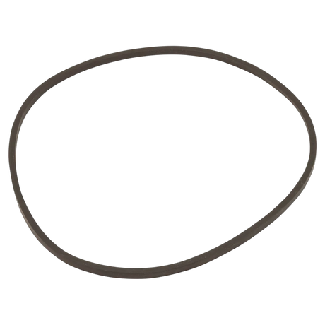 Pentair Triton C Dome Closure O-Ring
