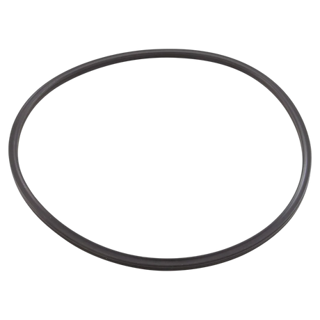 Pentair Triton II Quad Ring O-Ring 152516Z