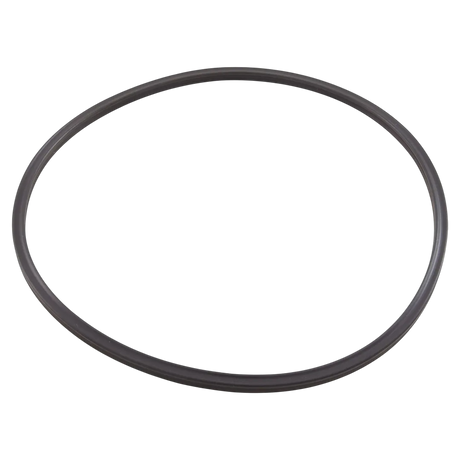 Pentair 152516Z Quad Ring - Reverse
