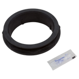 Pentair Tagelus 6 in valve adapter with O-ring 152520Z