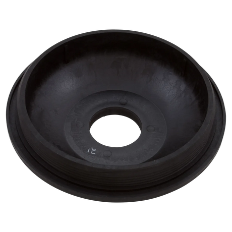 Pentair 154575 8-1/2-Inch Closure - Reverse