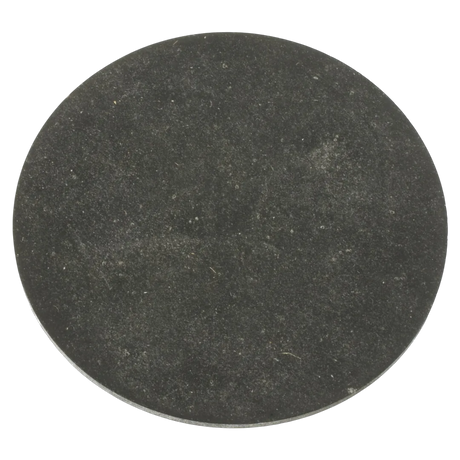 Pentair 154715 sand drain gasket replacement