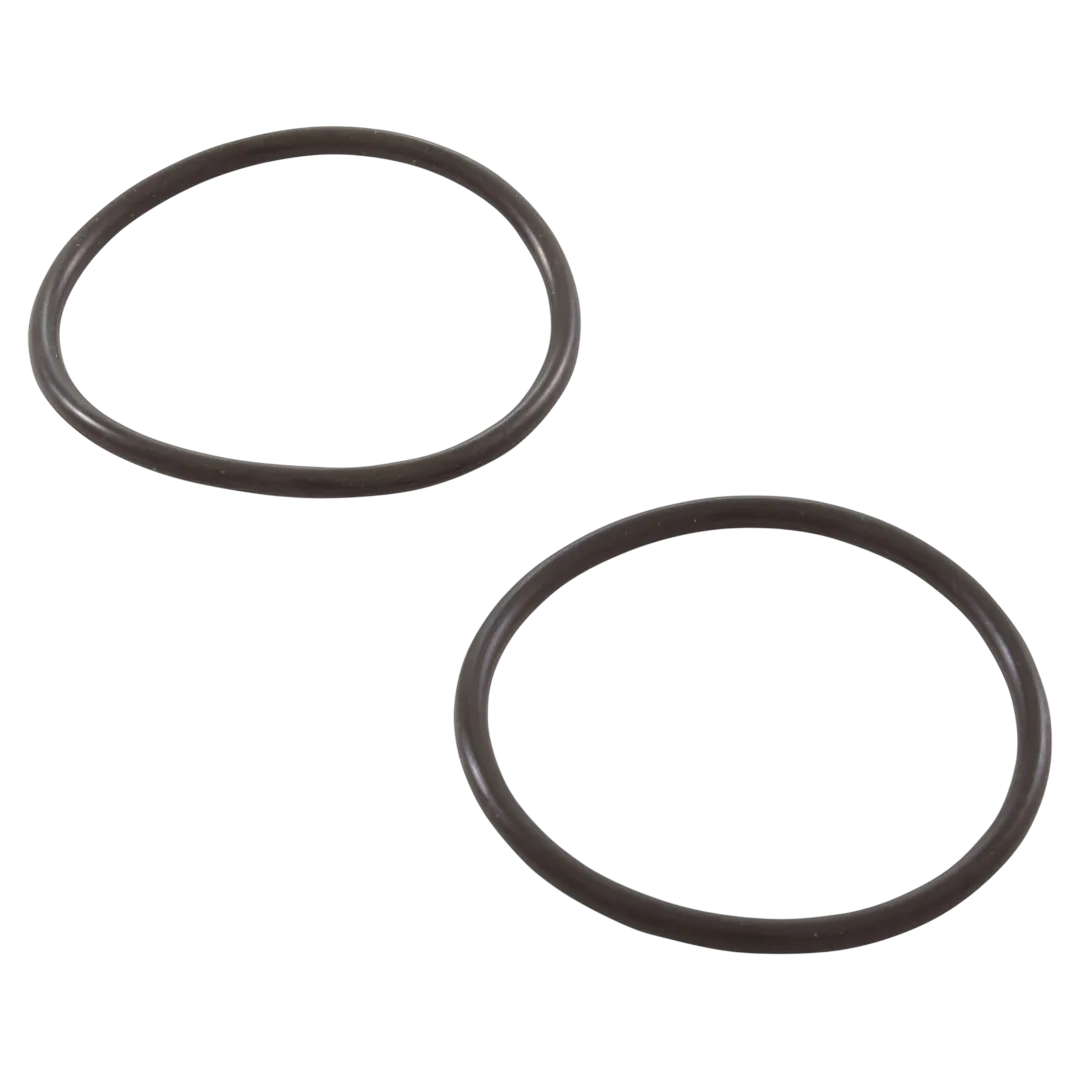Pentair 155728 Pump to Filter Hose Assembly - Orings