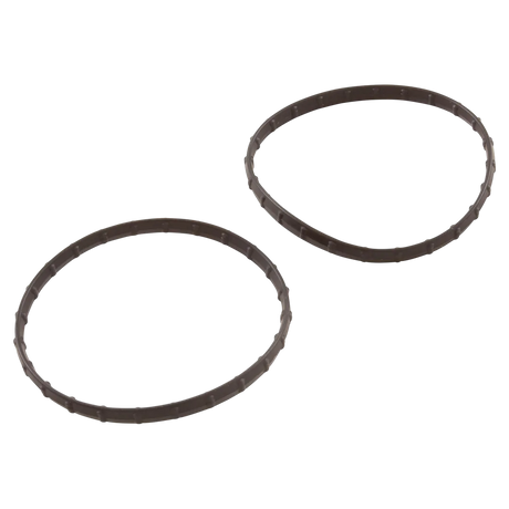 Pentair 178746Z union diamond seal for pool filter