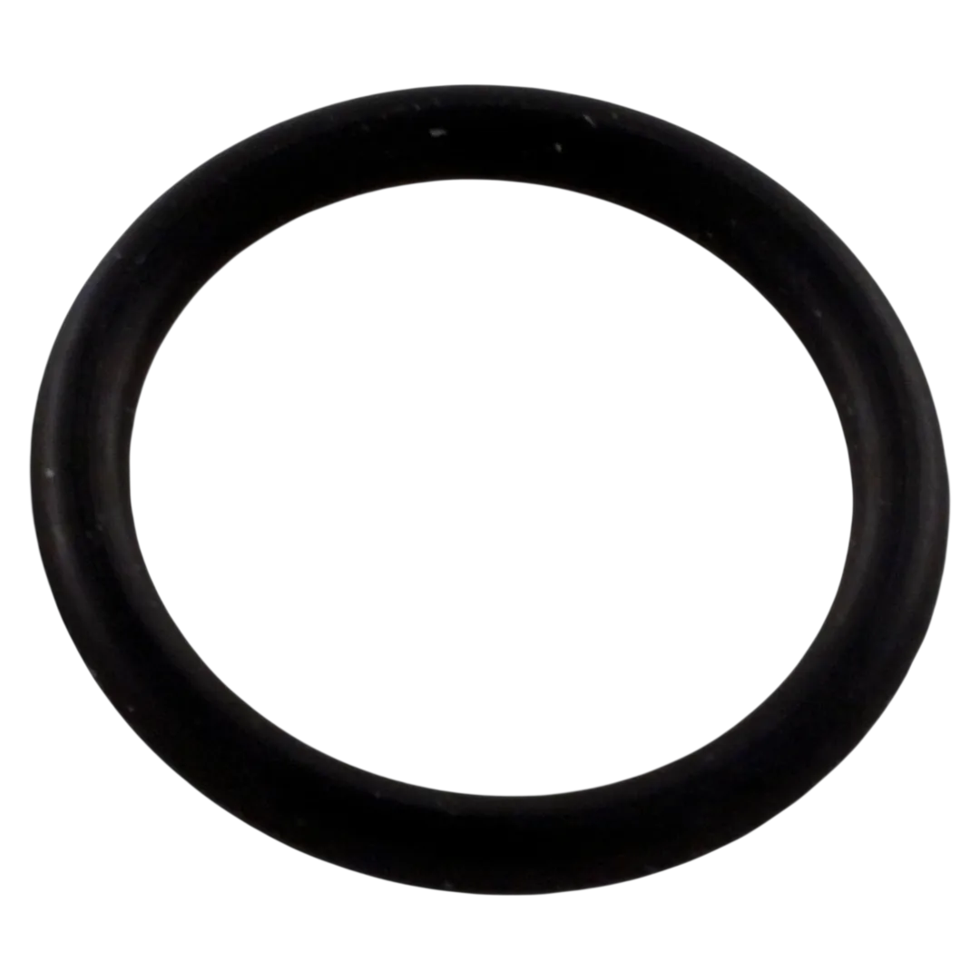 Pentair 192115Z Drain Plug O-Ring - Oring