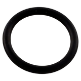 Pentair 192115Z Drain Plug O-Ring - Oring