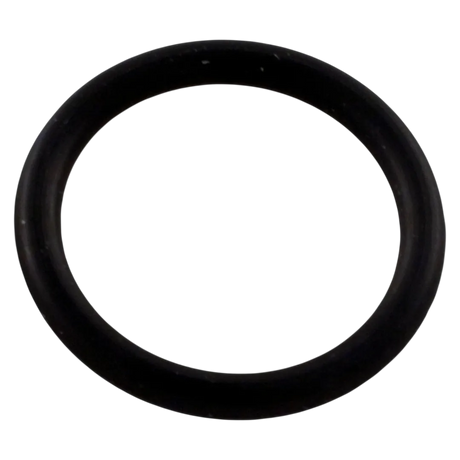 Pentair 192115Z Drain Plug O-Ring - Oring