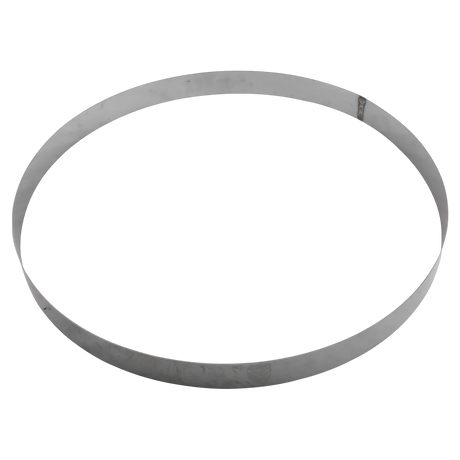 Pentair 195339 Stainless Steel Backup Ring for Filters