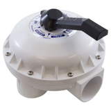 Pentair 261049 Multiport Backwash Valve - Reverse