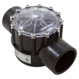 Pentair 263060 FullFloXF 2-Way CPVC Check Valve 2.5 x 3 in