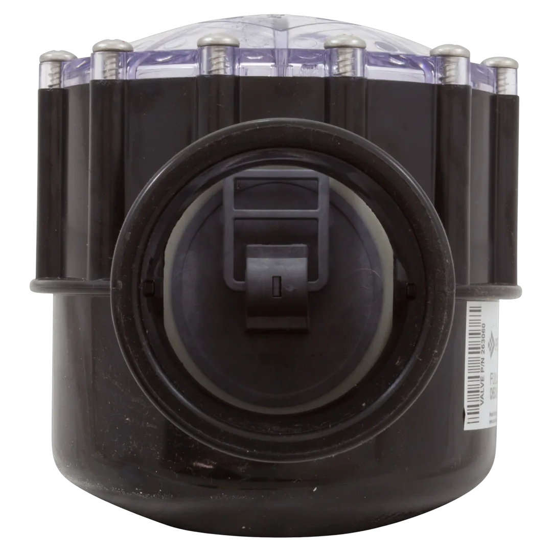 Pentair 263060 FullFloXF 2-Way Straight CPVC Check Valve 2.5 x 3 in - Back