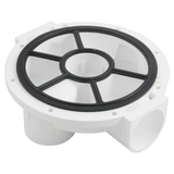 Pentair 272433 HiFlow Bottom Valve with Gasket