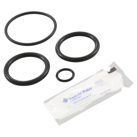 Pentair 273109 Noncorrosive Slide Valve O-Ring Kit