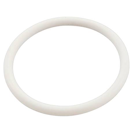 Pentair 274495 white replacement O-ring