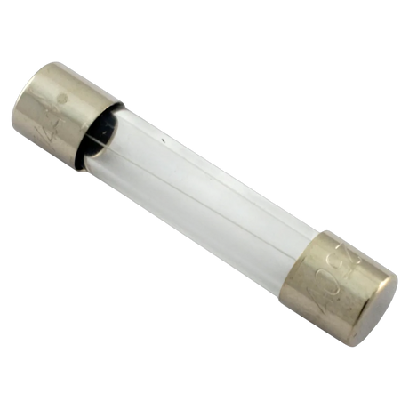 Pentair MasterTemp 32850-0099 Fireman's Switch Fuse 1.25A