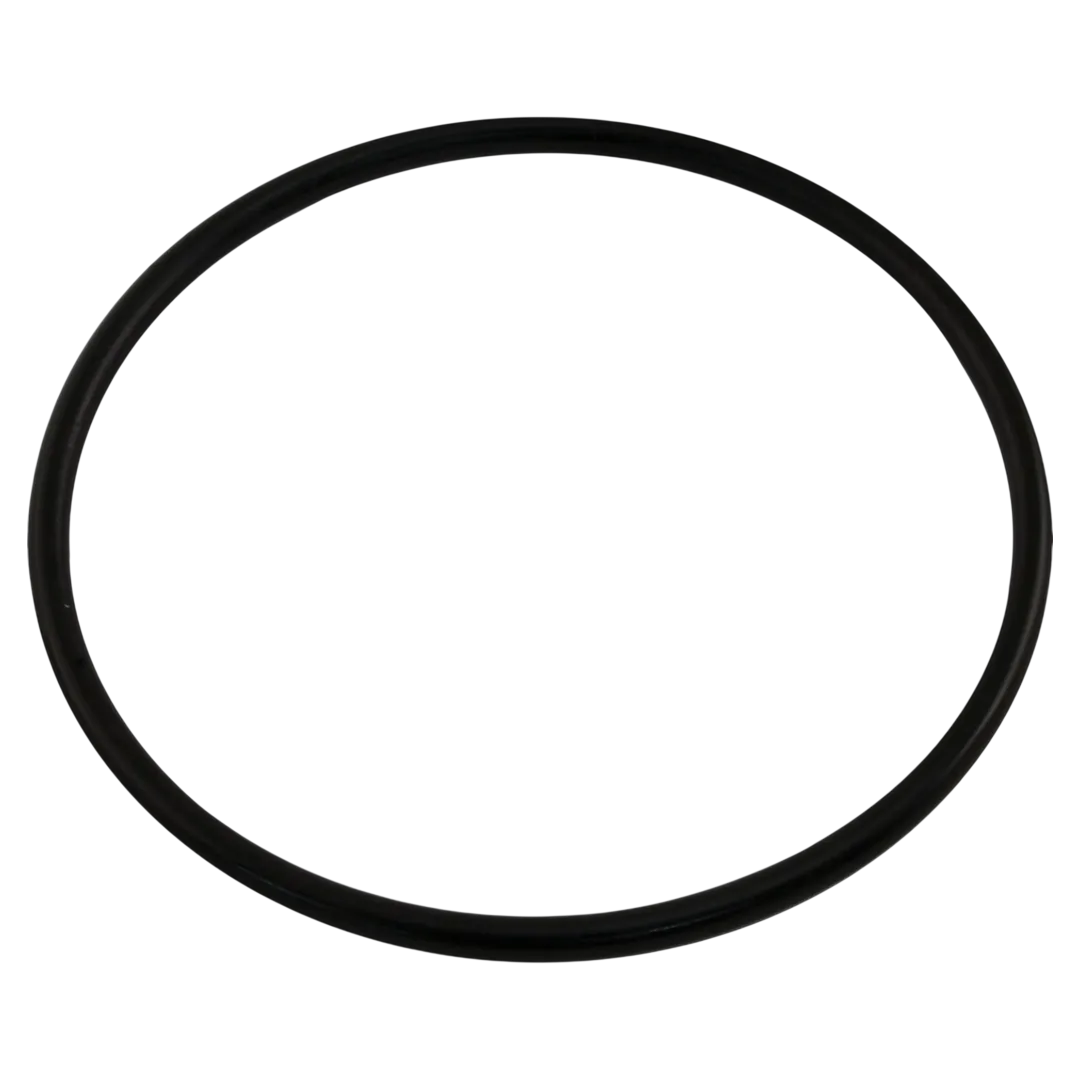 Pentair 350013 Lid O-Ring for WhisperFlo and IntelliFlo