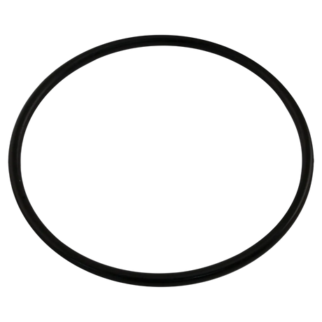 Pentair 350013 Lid O-Ring for WhisperFlo and IntelliFlo