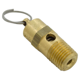 Pentair EQ Series 1/4 MPT Pressure Relief Valve