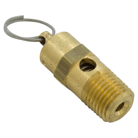 Pentair EQ Series 1/4 MPT Pressure Relief Valve