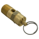 Pentair EQ Series Pressure Relief Valve 1/4" MPT - Alt (2)