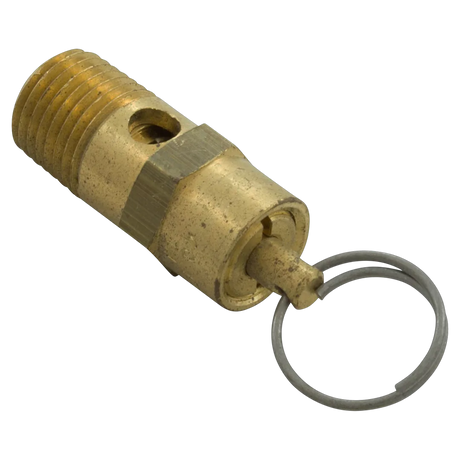 Pentair EQ Series Pressure Relief Valve 1/4" MPT - Alt (2)