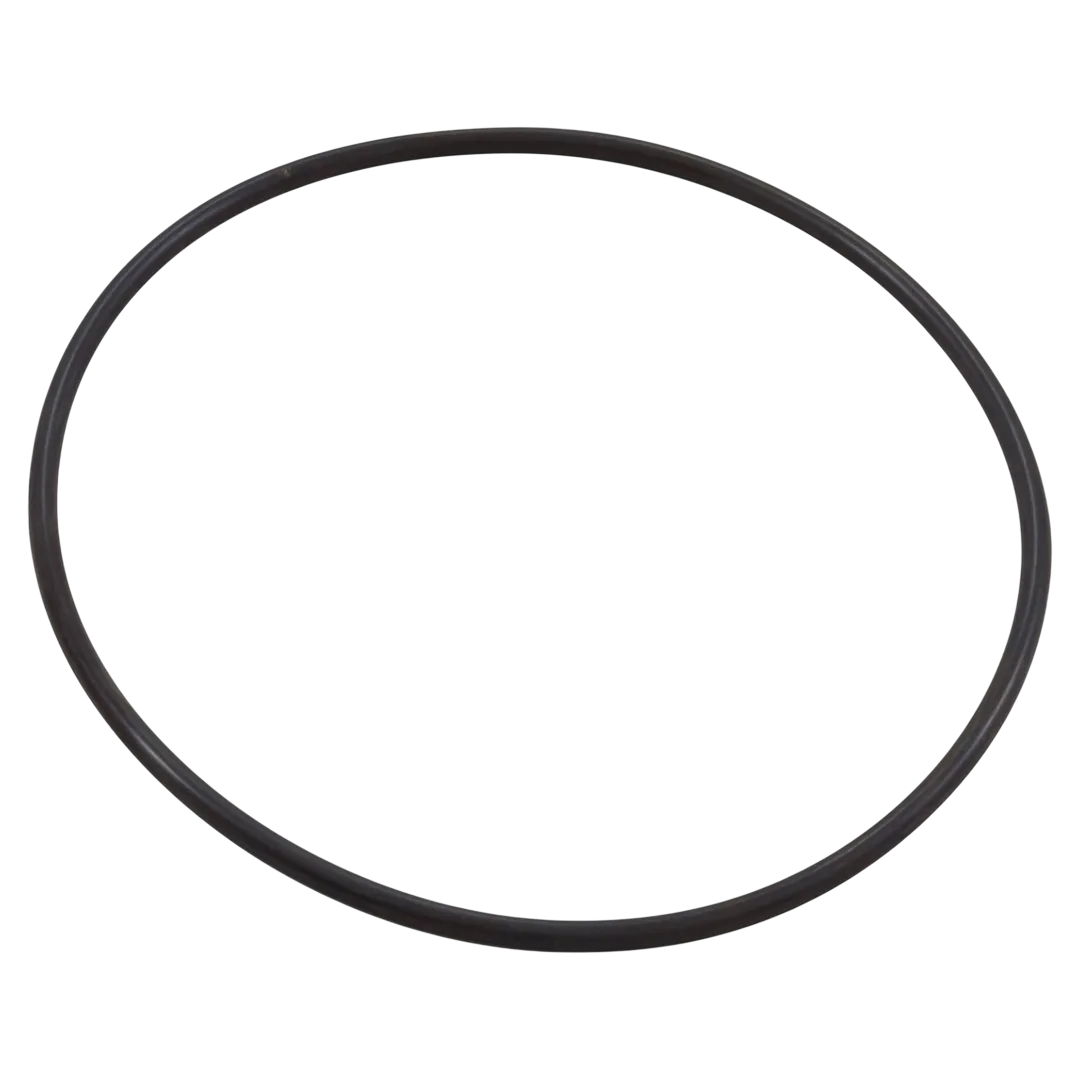 Pentair 351446Z Seal Plate O-Ring - Oring