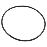 Pentair 351446Z Seal Plate O-Ring - Oring