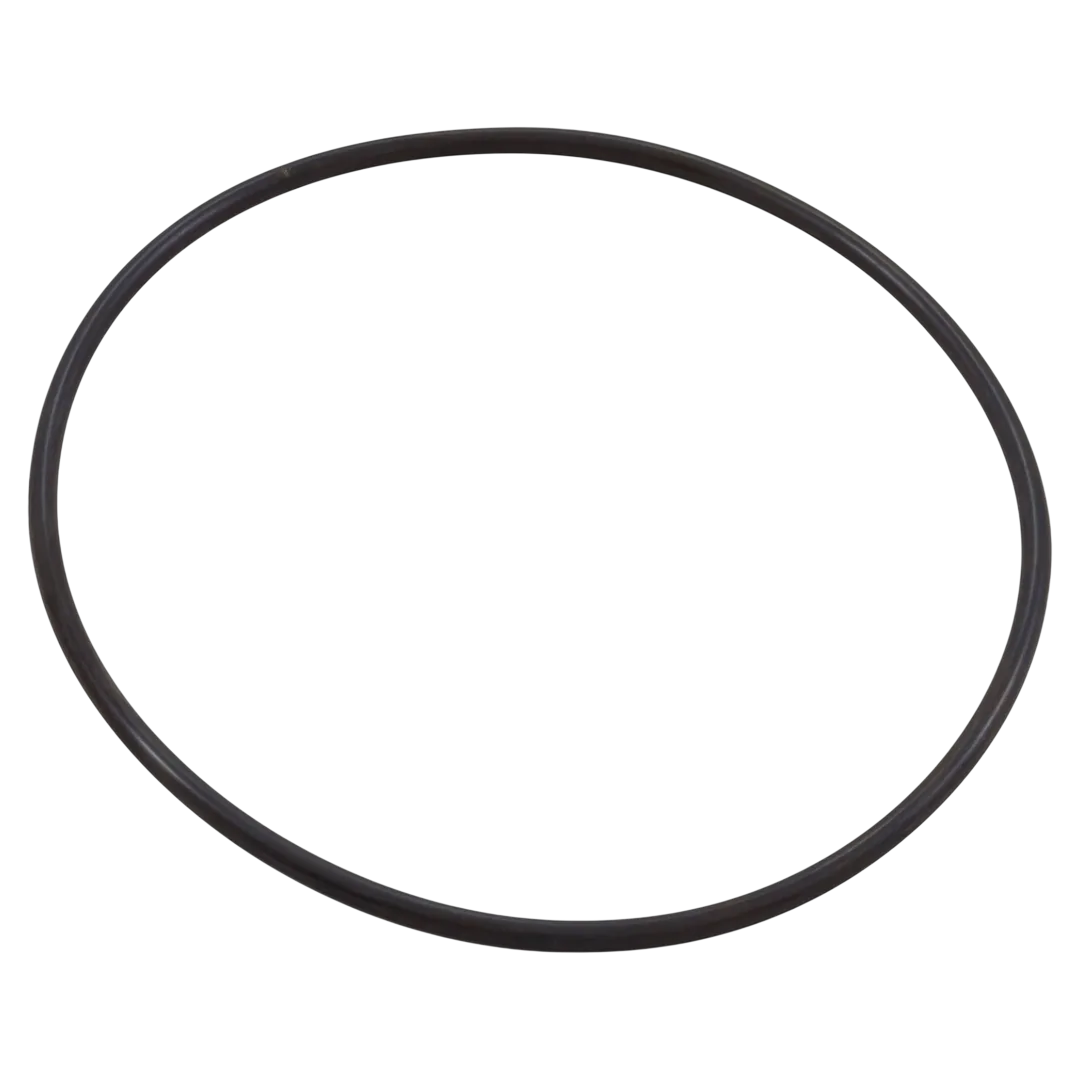 Pentair 351446 Seal Plate O-Ring - Oring
