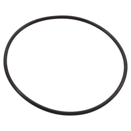 Pentair 351446 Seal Plate O-Ring - Oring