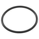 Pentair 200-830 O-Ring Adapter - Oring