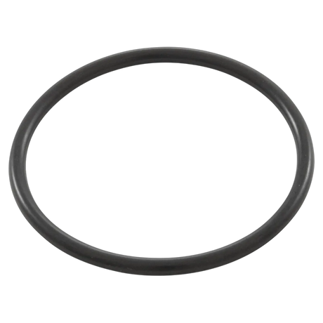 Pentair 200-830 O-Ring Adapter - Oring
