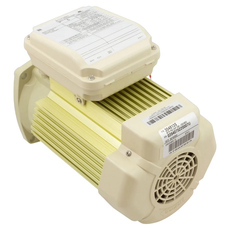 Pentair 354813S Pump Motor - Reverse