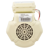 Pentair 354813S Pump Motor - Reverse