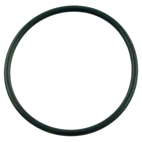 Pentair 355330 Strainer Pot Flange O-Ring Replacement