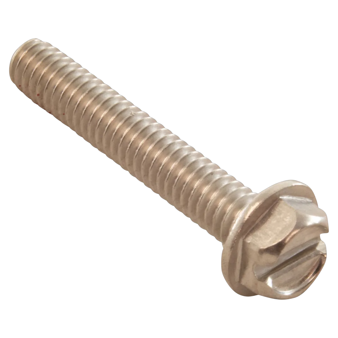 Pentair 355334Z stainless steel screw