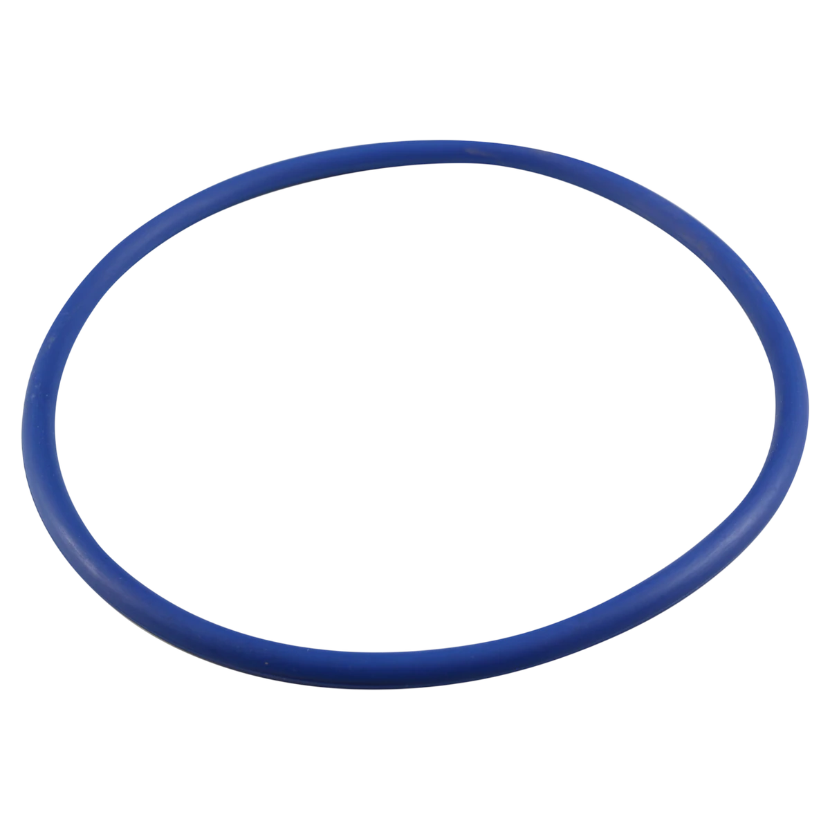 Pentair 356189Z - IntelliFlo3 IntelliPro3 VSF Trap Lid O-Ring