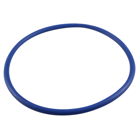Pentair 356189Z - IntelliFlo3 IntelliPro3 VSF Trap Lid O-Ring