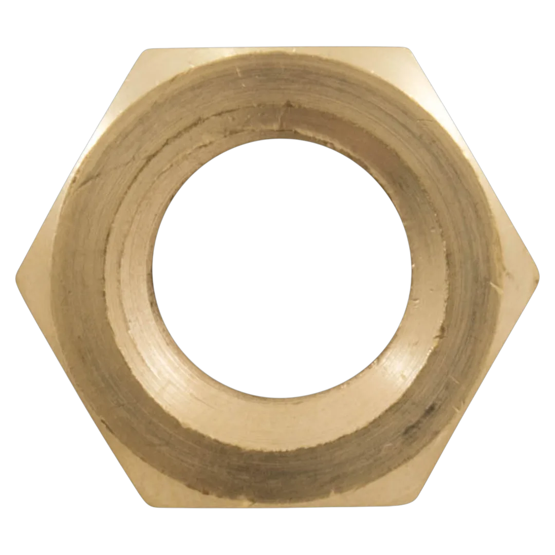 Pentair EQ-Series 356776 Brass Hex Head Nut - Front