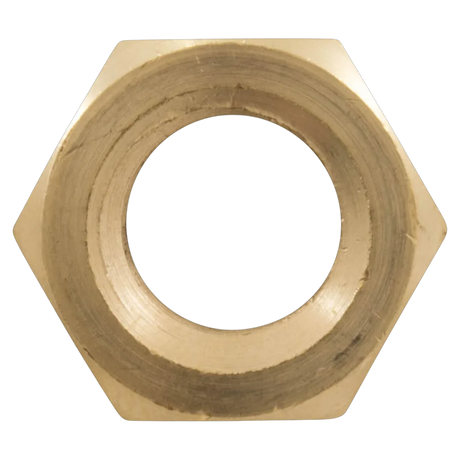 Pentair EQ-Series 356776 Brass Hex Head Nut - Front