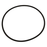 Pentair Seal Plate O-Ring 3/8 x 11 inches