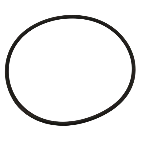 Pentair Seal Plate O-Ring 3/8 x 11 inches