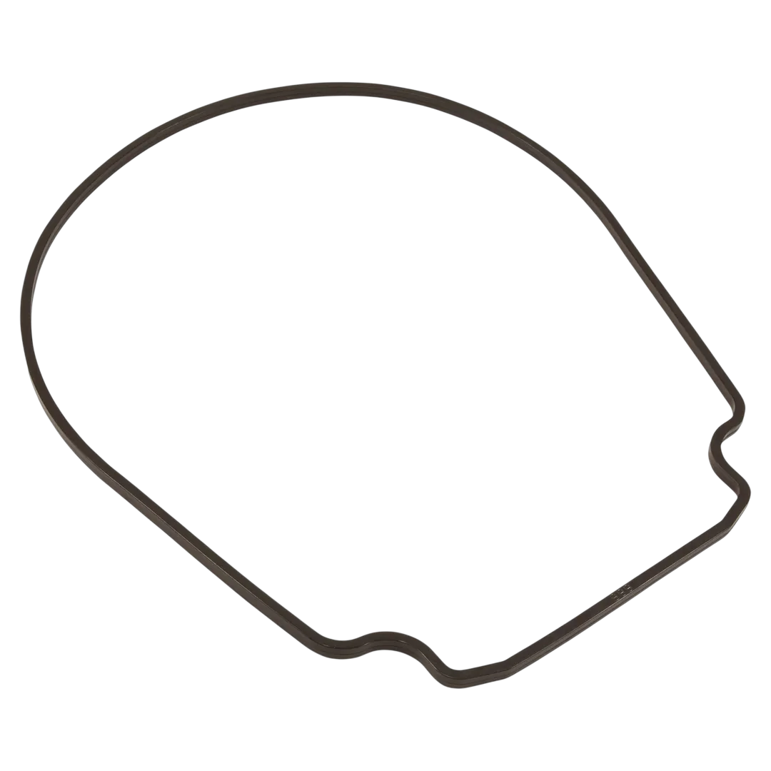 Pentair 357100Z Seal Plate Gasket - Reverse