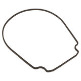 Pentair 357100Z Seal Plate Gasket - Reverse