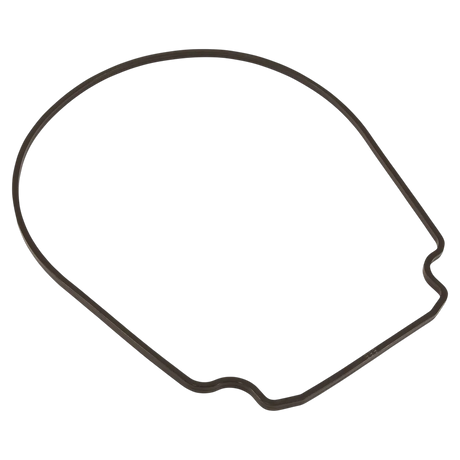 Pentair 357100Z Seal Plate Gasket - Reverse