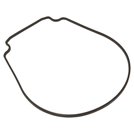 Pentair WhisperFlo seal plate gasket 357102Z