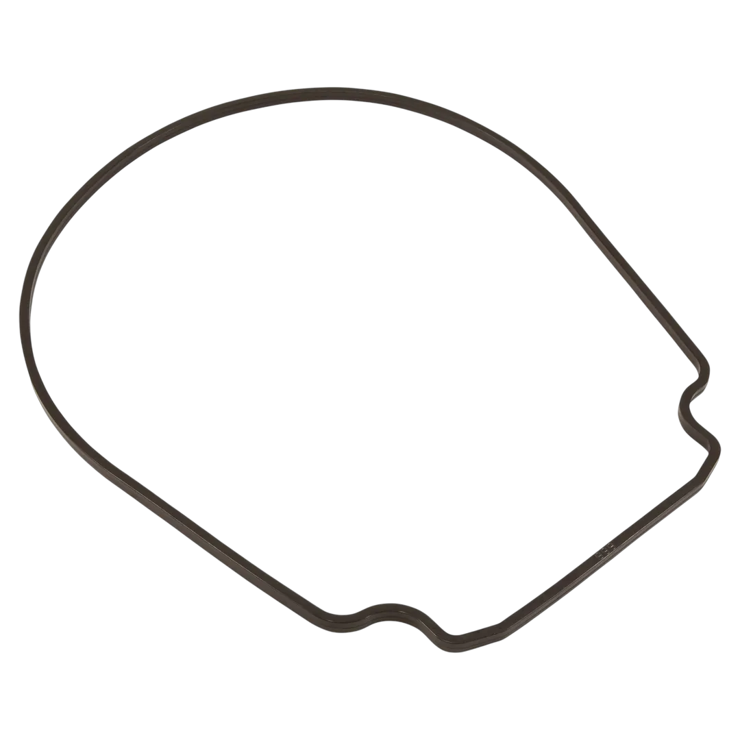 Pentair WhisperFlo Seal Plate Gasket - Reverse