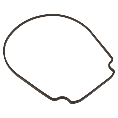 Pentair WhisperFlo Seal Plate Gasket - Reverse